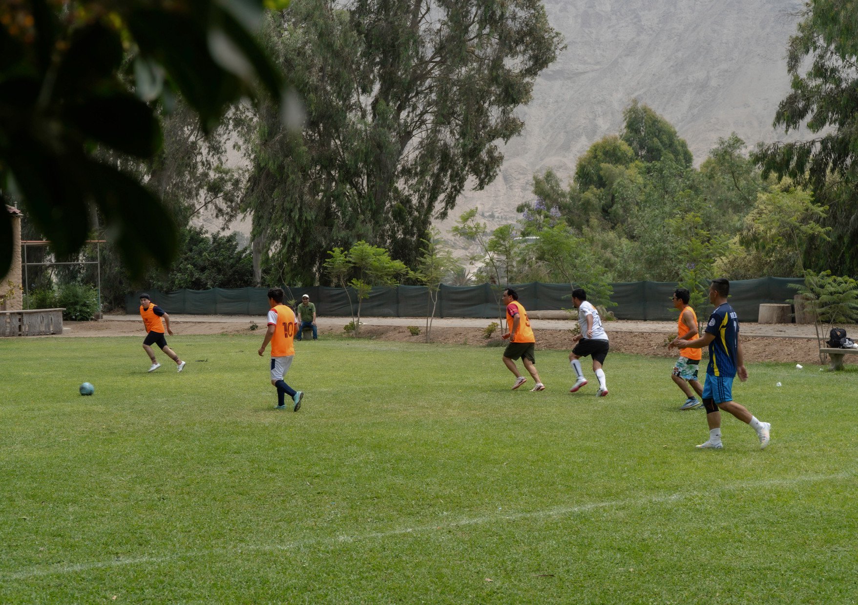 DSC01555 copia39.jpg