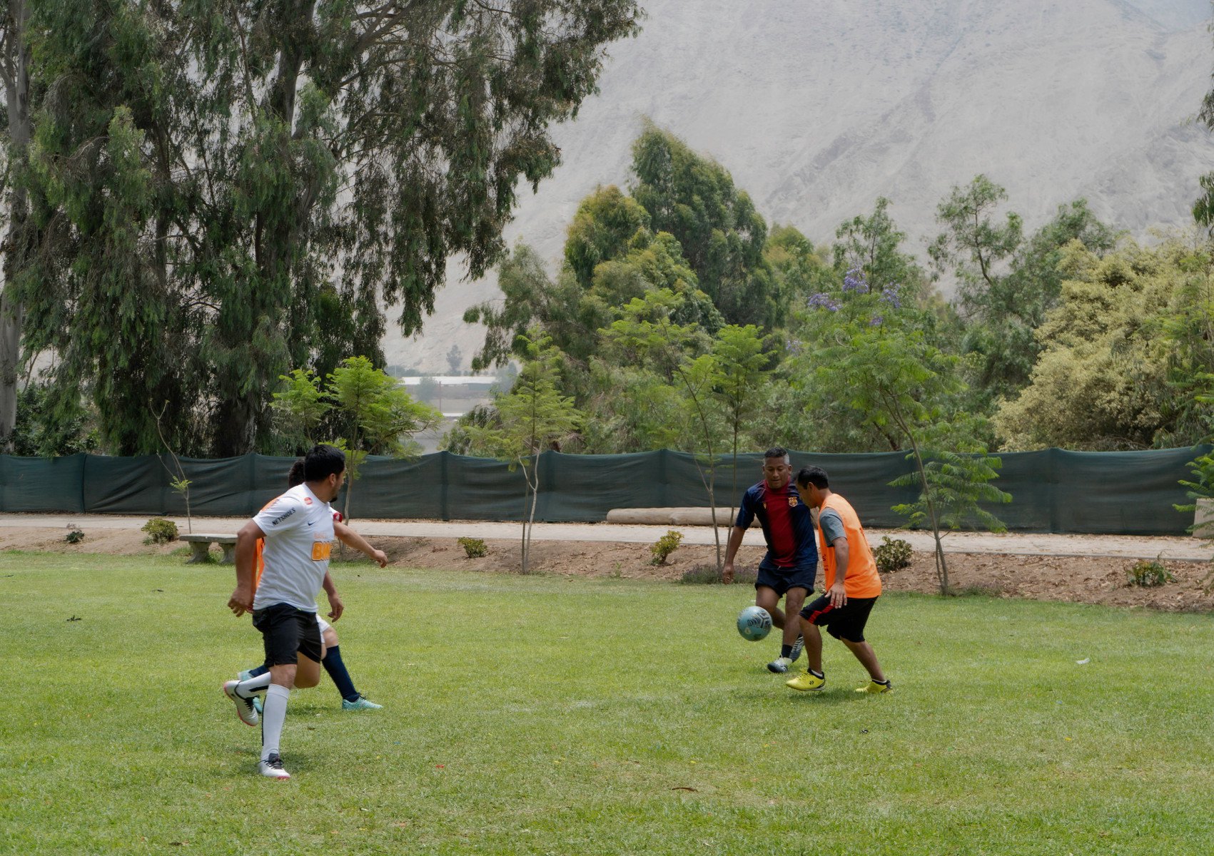 DSC01555 copia41.jpg